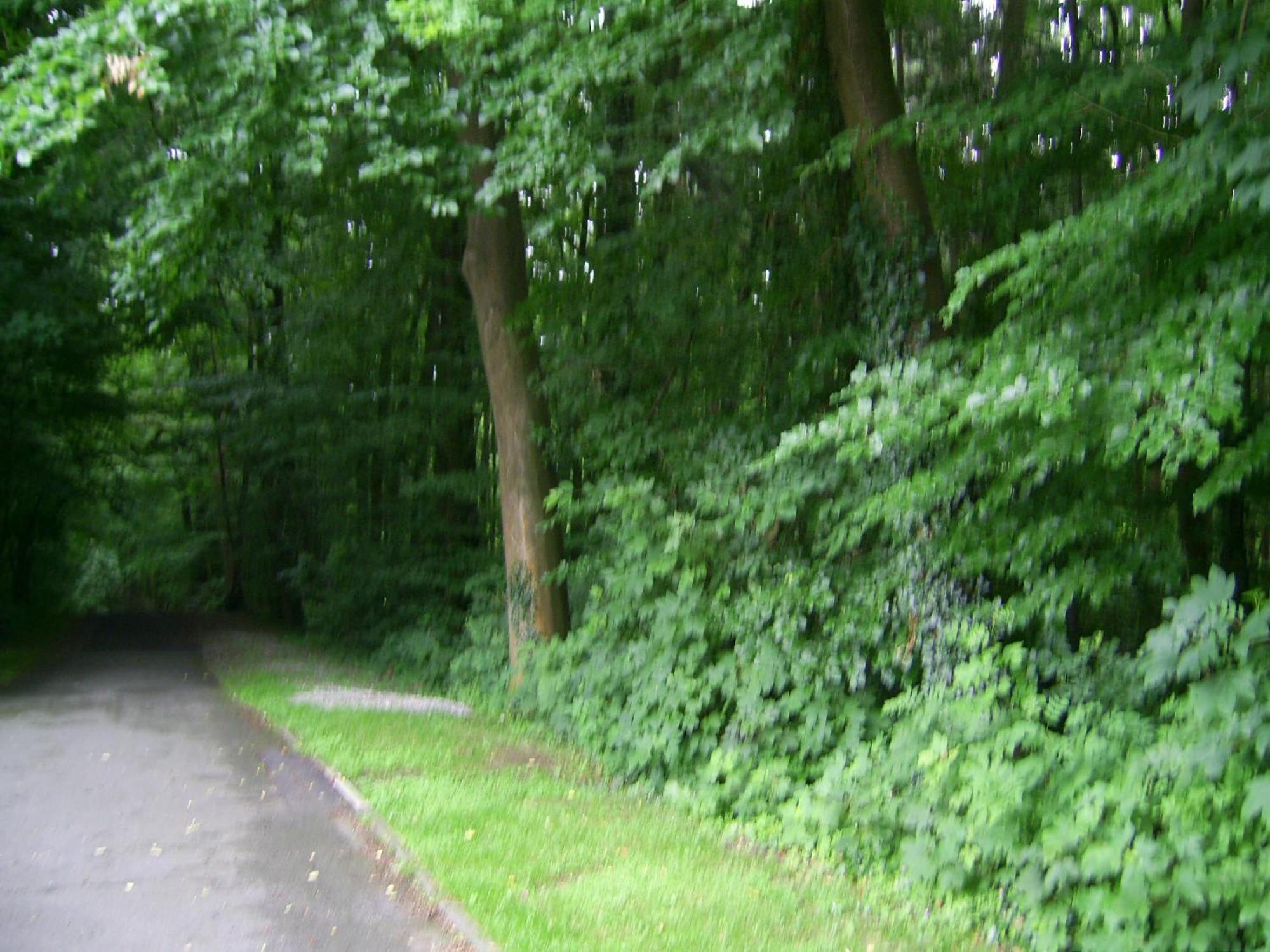 Waldpension Bielefeld Exterior foto